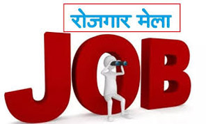 Mini employment fair on 26th at District Employment Office Una.